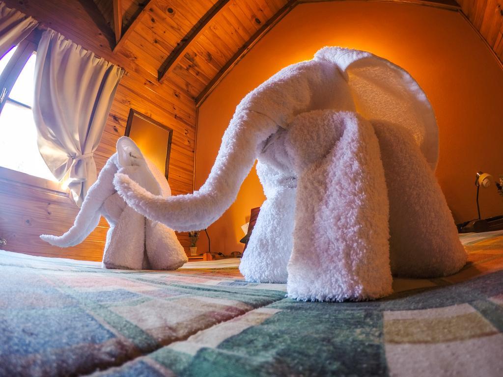 Cabanas De La Patagonia San Martín de los Andes Zewnętrze zdjęcie